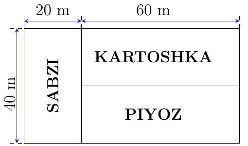 Bo‘yi 40 m bo‘lgan to‘g‘ri to‘rtburchak maydon: eni 20 m qismi SABZI, eni 60 m qismi KARTOSHKA va PIYOZga bo‘lingan