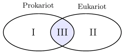 Eyler-Venn diagrammasi: chap doira Prokariot (I), o‘ng doira Eukariot (II), kesishgan qismi III