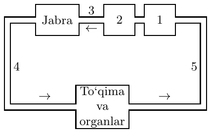 Qon aylanish sxemasi: 1 va 2 kameralar, 3 tomir orqali jabraga, undan 4 tomir orqali to‘qima va organlarga, so‘ng 5 tomir orqali qaytib 1 ga; bitta yopiq doira