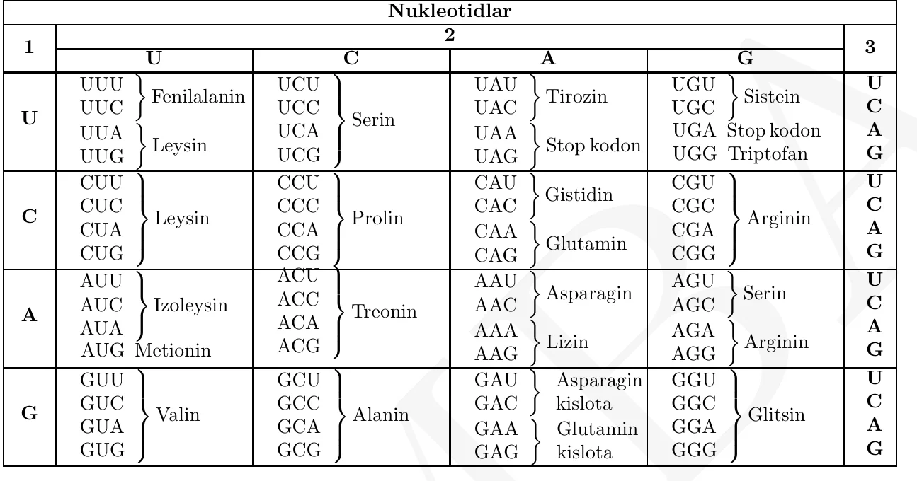 Genetik kod jadvali (mRNK kodonlari): UUU, UUC – fenilalanin; UUA, UUG, CUU, CUC, CUA, CUG – leysin; AUU, AUC, AUA – izoleysin; AUG – metionin; GUU, GUC, GUA, GUG – valin; UCU, UCC, UCA, UCG, AGU, AGC – serin; CCU, CCC, CCA, CCG – prolin; ACU, ACC, ACA, ACG – treonin; GCU, GCC, GCA, GCG – alanin; UAU, UAC – tirozin; UAA, UAG, UGA – stop kodon; CAU, CAC – gistidin; CAA, CAG – glutamin; AAU, AAC – asparagin; AAA, AAG – lizin; GAU, GAC – asparagin kislota; GAA, GAG – glutamin kislota; UGU, UGC – sistein; UGG – triptofan; CGU, CGC, CGA, CGG, AGA, AGG – arginin; GGU, GGC, GGA, GGG – glitsin.